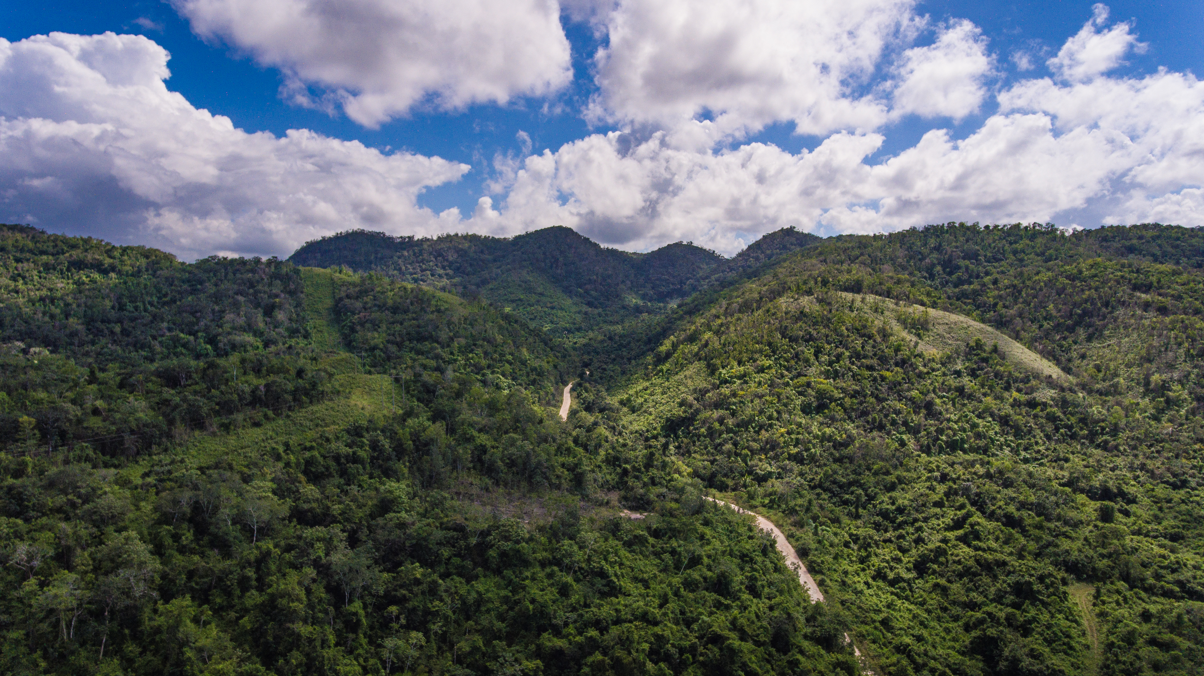 21 Latin American and Caribbean countries work together to harmonize National Forest Inventories