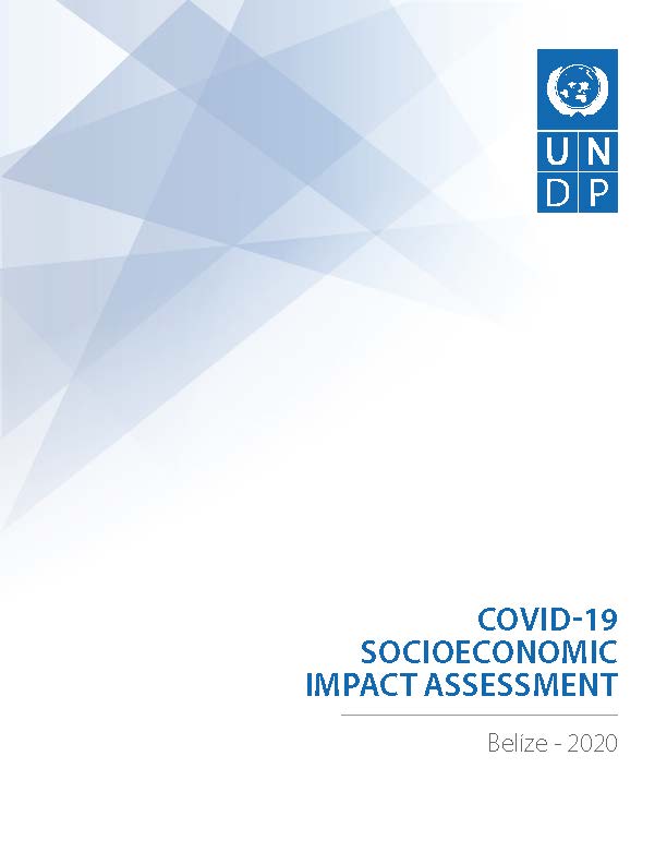 Socioeconomic Impact of the COVID 19 Pandemic in Belize