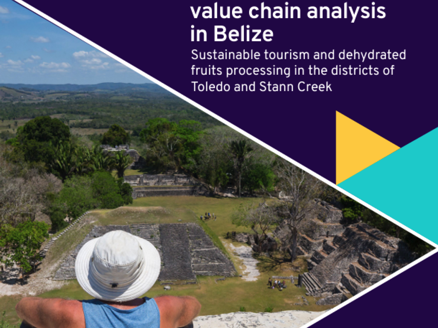 A sector selection and value chain analysis in Belize
