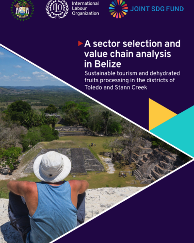 A sector selection and value chain analysis in Belize