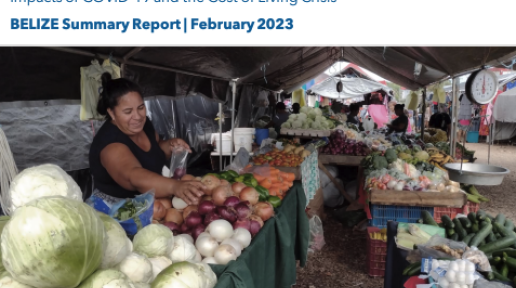 Caribbean Food Security & Livelihoods Survey Impacts of COVID-19 and the Cost of Living Crisis